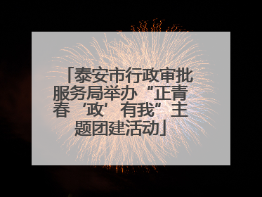 泰安市行政审批服务局举办“正青春‘政’有我”主题团建活动